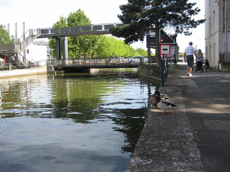 20110522-7956.JPG