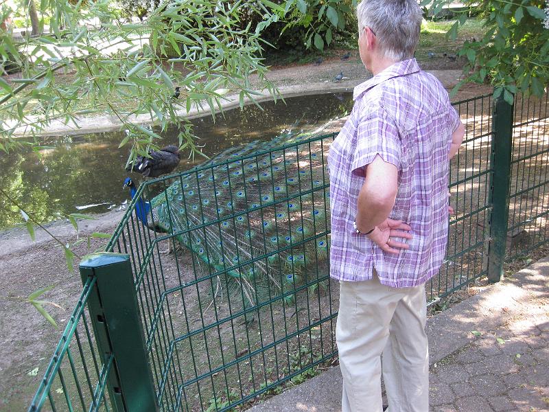 20110522-7958.JPG