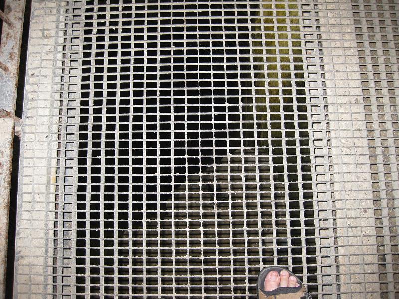 20110522-8017.JPG