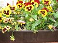 20120521_1576
