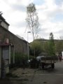 20160501-165421-RB8969