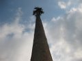20160501-171316-RB8983