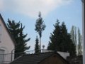 20160501-172936-RB8989