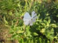 20160818-080936-RB0412