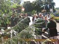 20160904-105732-RB0576