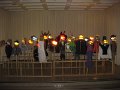 20161111-175647-RB0982
