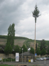 Ahrhut