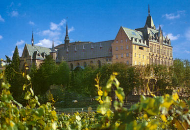 Kloster Calvarienberg