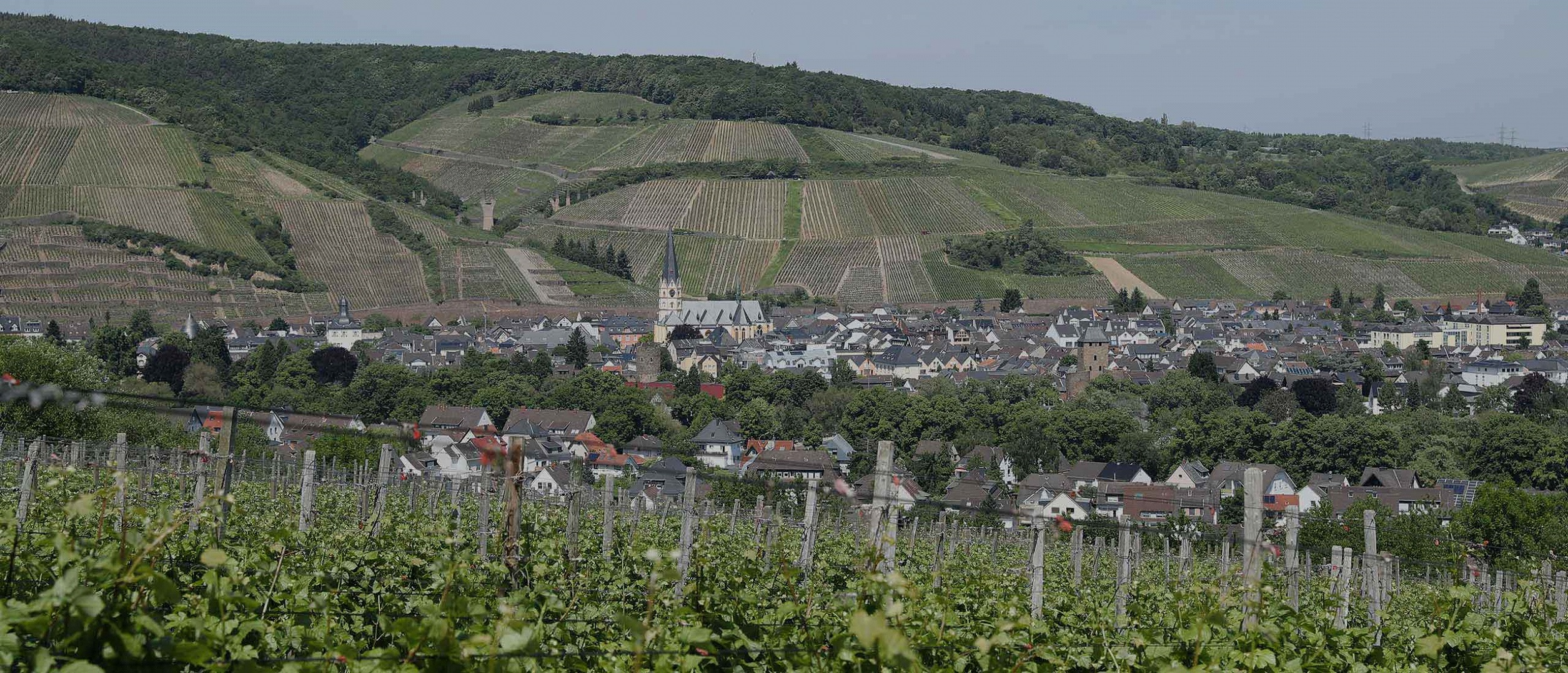 Panorama von Ahrweiler mit den Weinbergen des Ahrtals